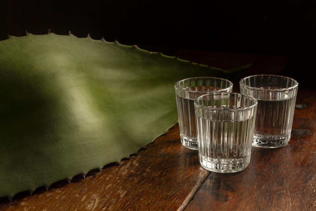 Closeup shot of mezcal alcoholic beverage glass cups on a wooden table with a big agave leaf