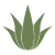 logotaste
