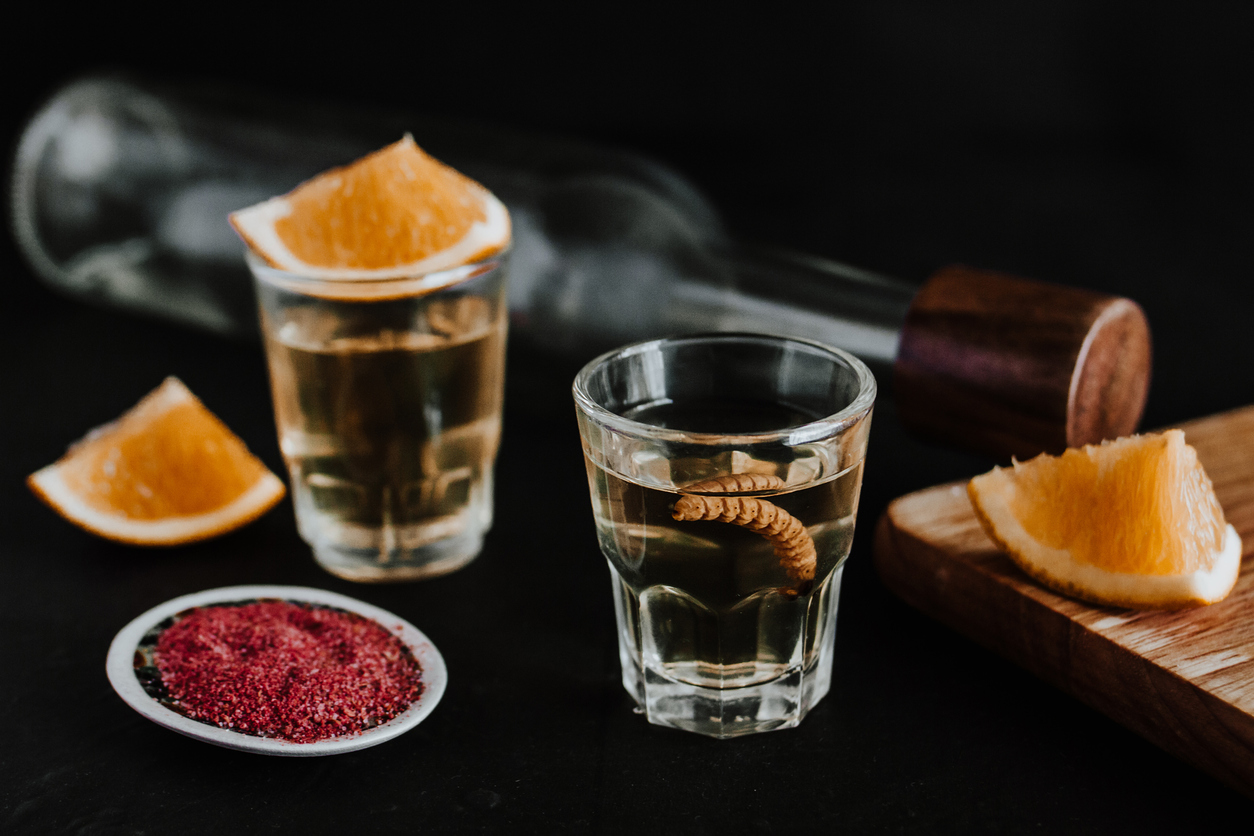 Mexican Mezcal Shots with worm, orange slice and spicy Salt in Mexico Latin America